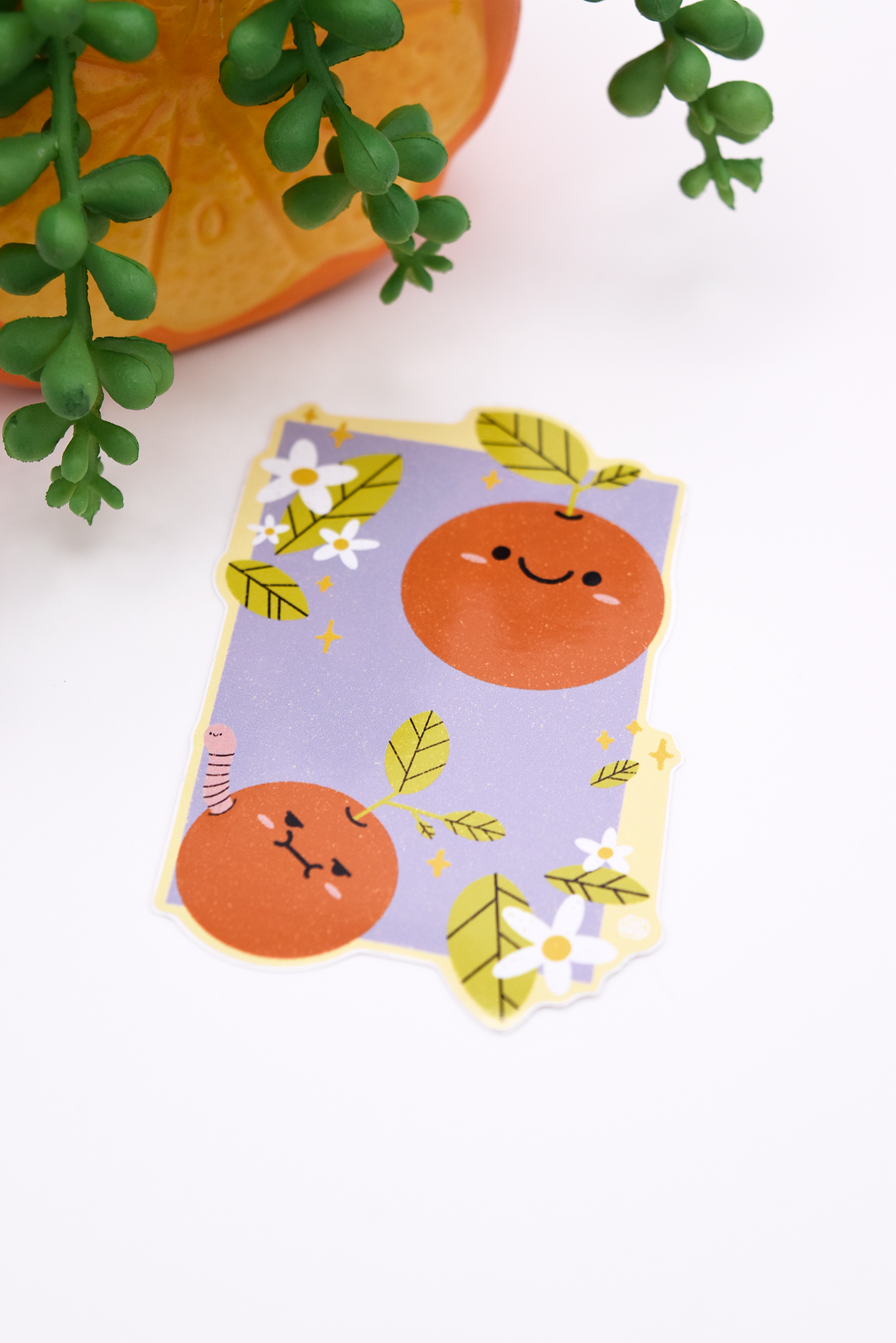 CARA CARA FRIENDS ORANGES Glossy Vinyl Sticker